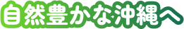 豊かな沖縄へ